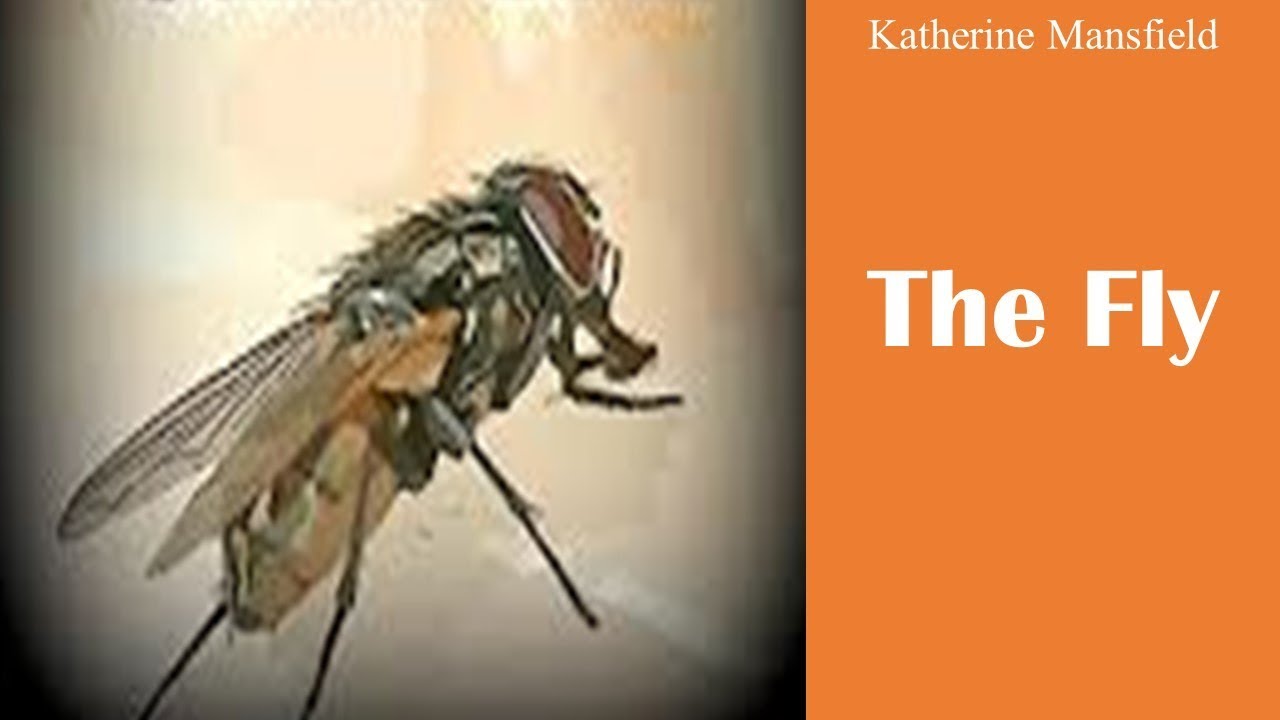 Изучайте английский язык через историю — «Муха» Кэтрин Мэнсфилд