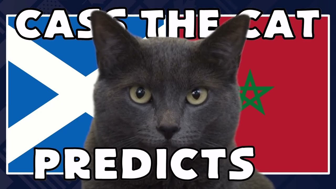 Scotland vs Morocco | 2026 FIFA World Cup Cass the Cat 🐾 Prediction