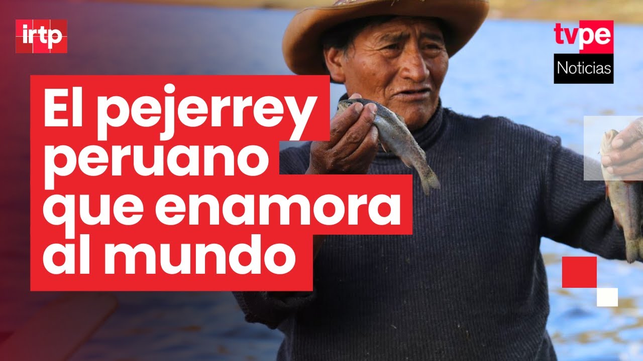 Cocina peruana impulsa exportaciones y pone al pejerrey en vitrina mundial | 