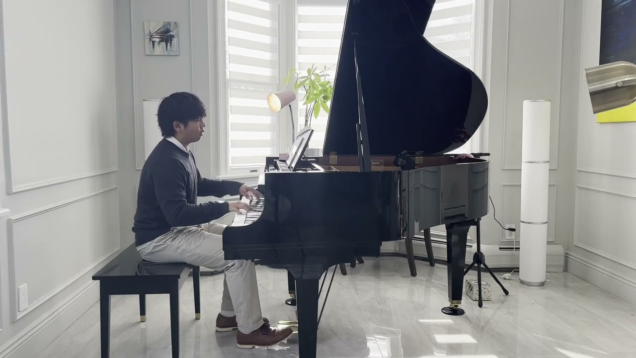 Moonlight Sonata by L.V. Beethoven/ Daniel Lee