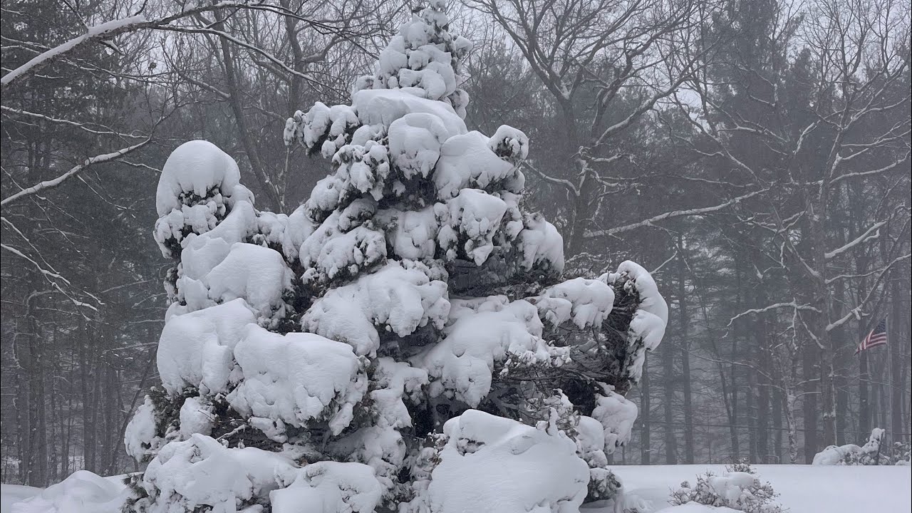 Surviving Historic Blizzard of ‘26 (w/ Estela & Prit)