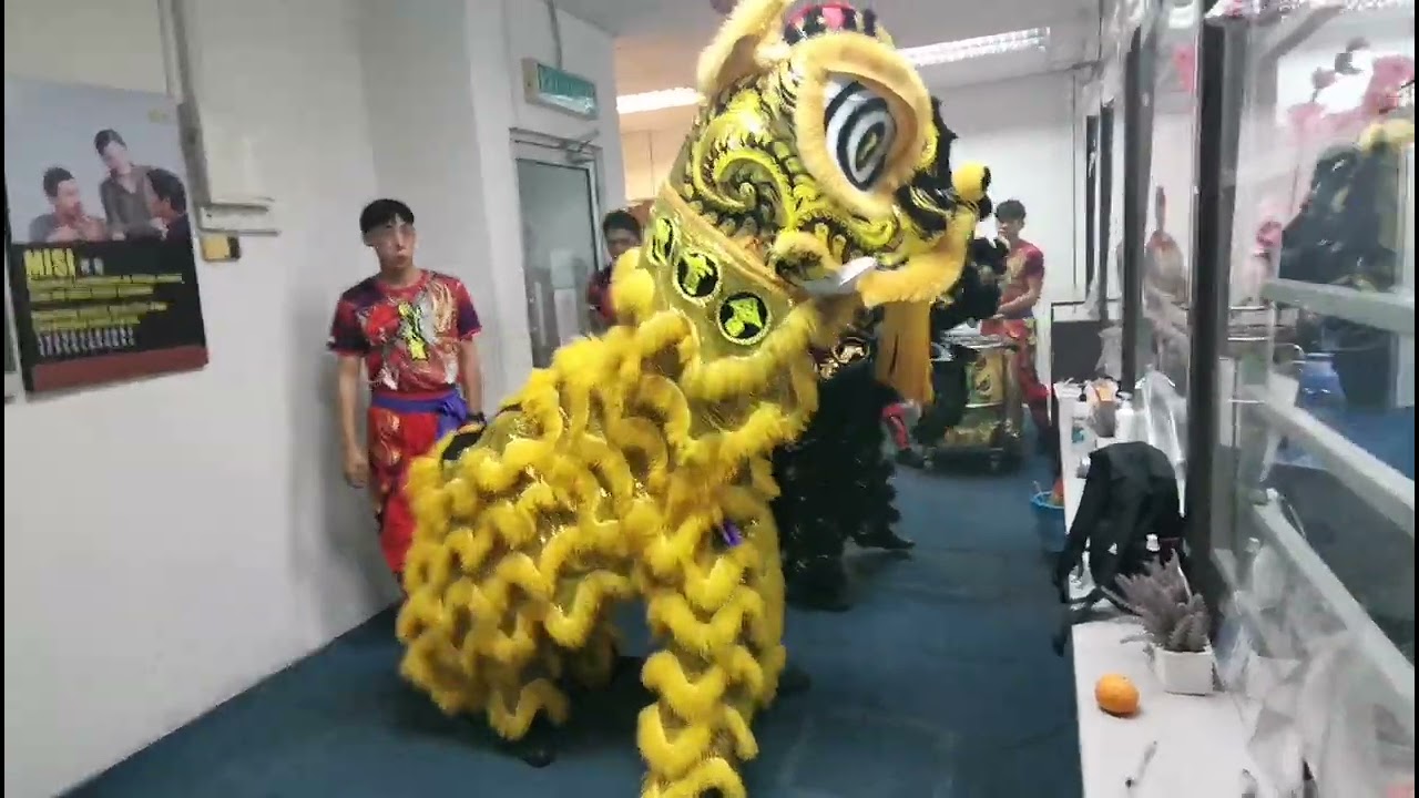 《舞狮》舞狮来店贺新年