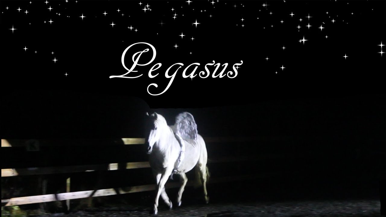 Ängvaktartorps julshow 2020