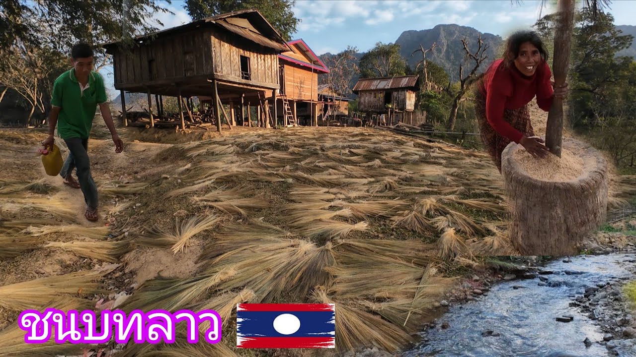 ชนบทลาวนำใช้วิถีชีวิตที่ดีมากดั้งเดีม