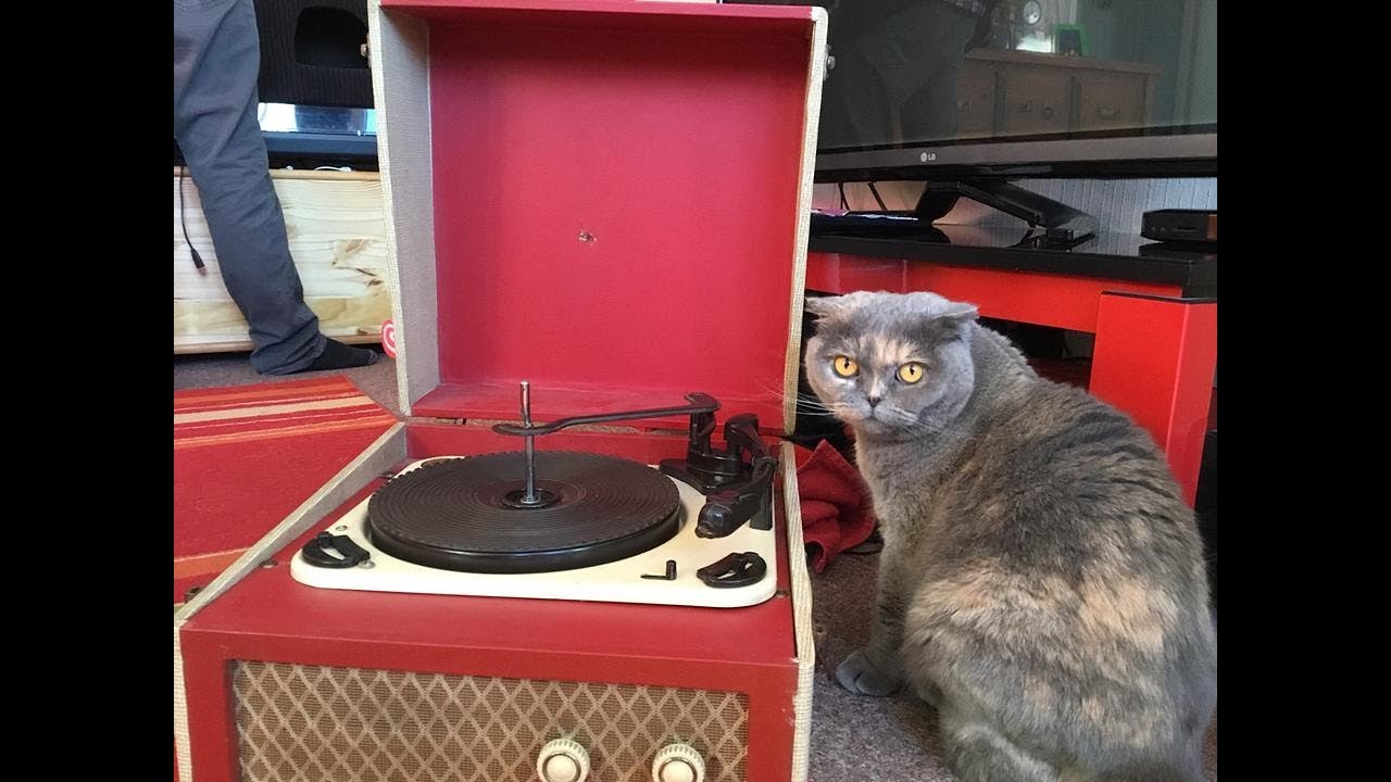 My Garrard Story