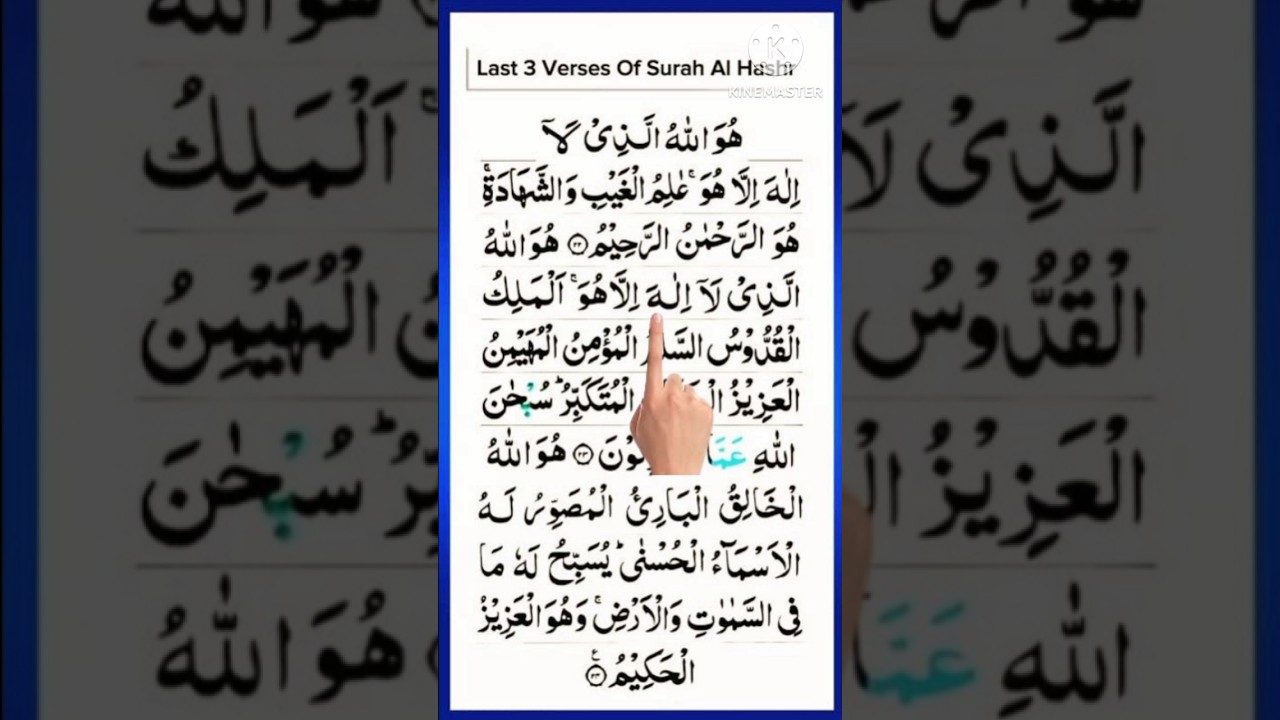 Surah-AL-HASHR🤍      سورۃ الحشر #surahhashrlast3ayat #surahhashr #quranrecitation #qurantilawat