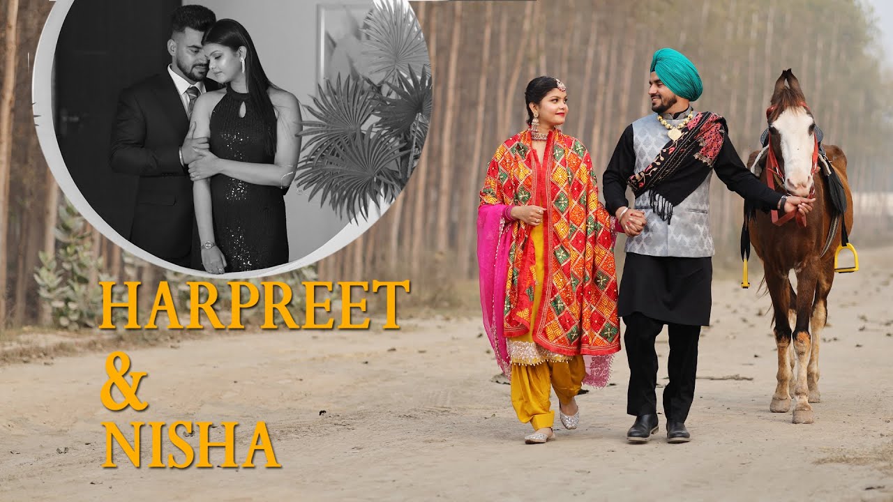 pre wedding HARPREET & NISHA (2025)
