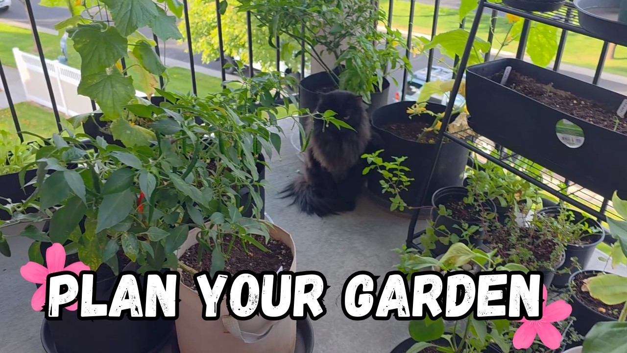 Use This to Help Plan Your Garden