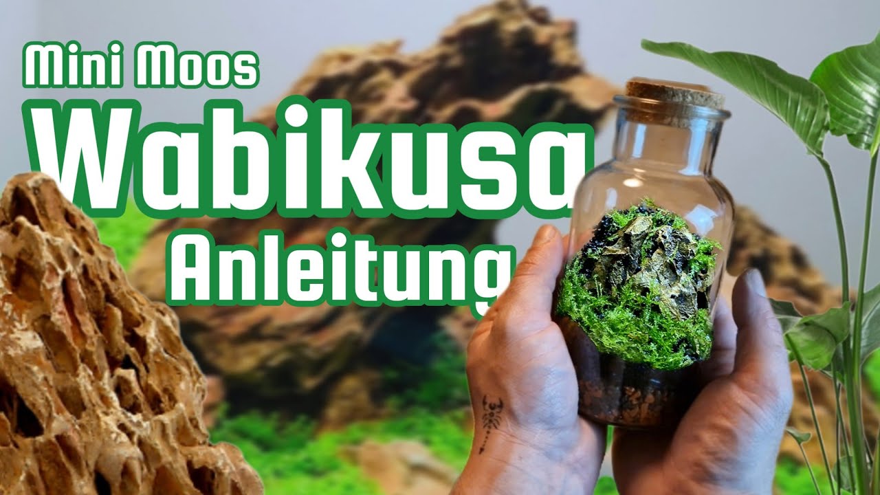 Ewiges Terrarium / Mini Moos Wabikusa / Flaschengarten