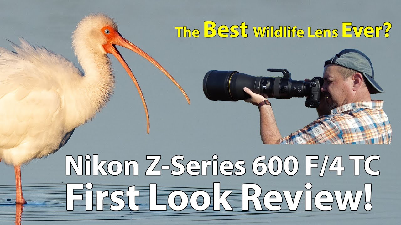 НОВЫЙ Nikon 600mm TC Z-Series: первый взгляд в полевых условиях!