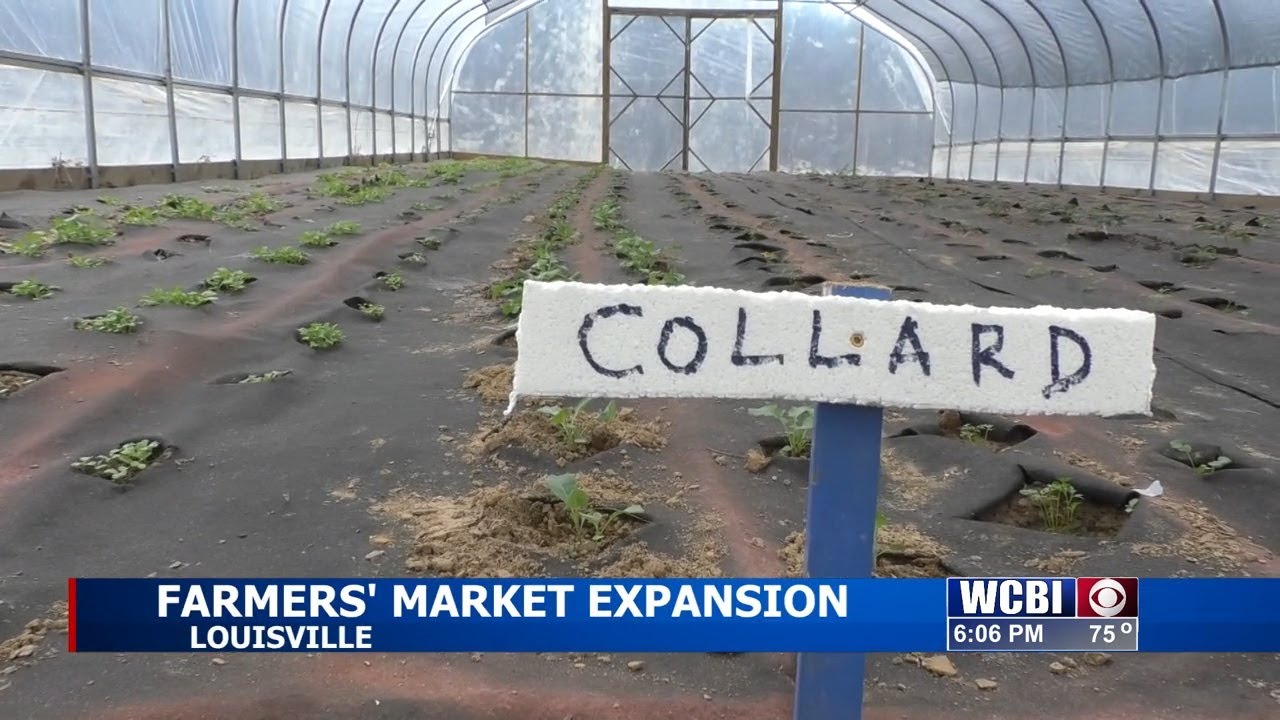 Friends of Dean Park expands farmers' market with USDA grant