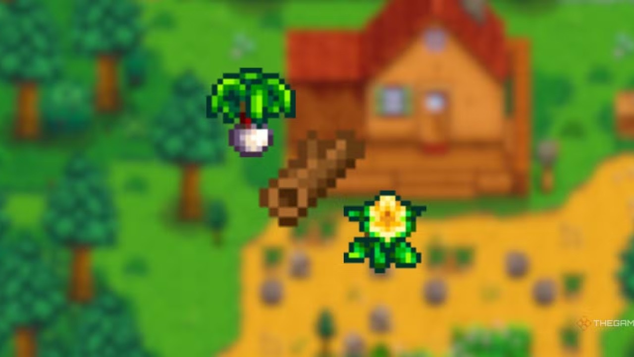 Spring Year 3 Is Just Around The Corner!