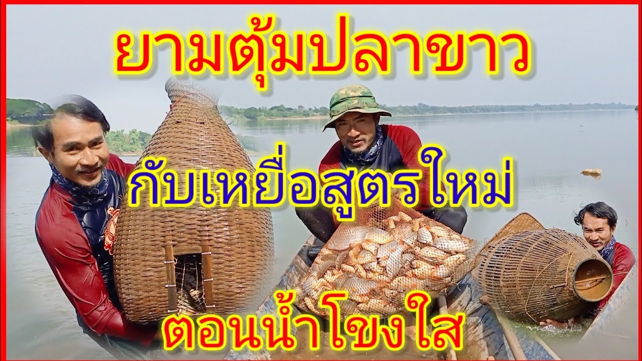 ยามตุ้มปลาขาว ตุ้มปลาตะเพียน ตอนน้ำโขงใส กับเหยื่อสูตรใหม่ หมานคัก