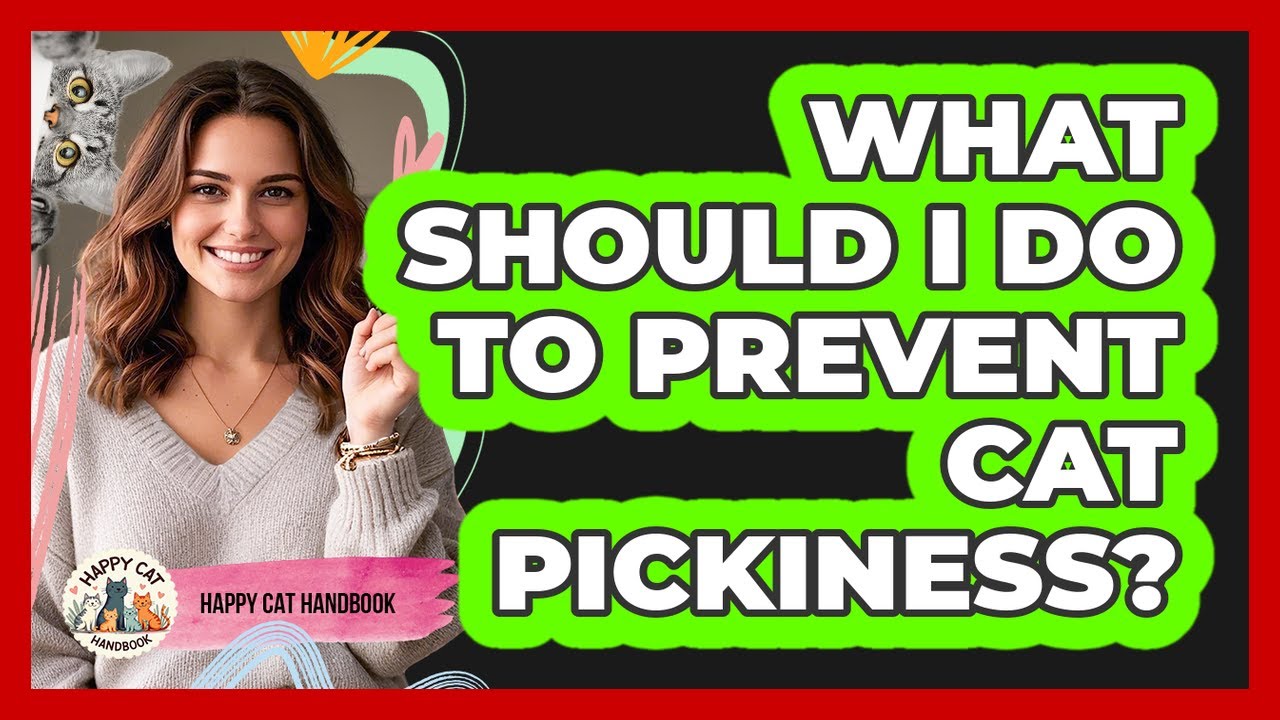 What Should I Do To Prevent Cat Pickiness?