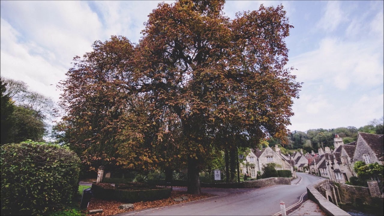 Village Sounds Ambience | Free Sound Effects | Ambient Sounds