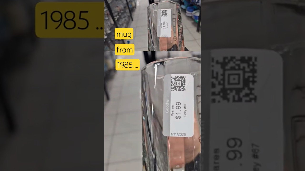 💸 Одна находка из магазина Goodwill оплатила всю мою поездку💸 Чтобы посмотреть видео "Thrifting W...