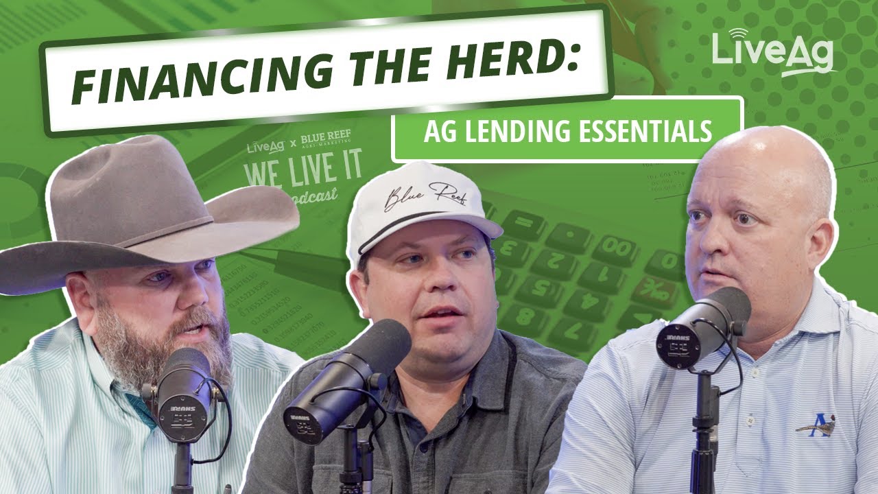 Financing the Herd: Ag Lending Essentials Part 1 #podcast