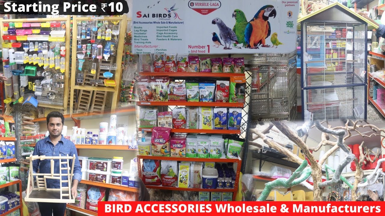 Bird Accessories Largest Wholesaler & Manufacturer for - Price Starting from Rs.10/- |1200+ products