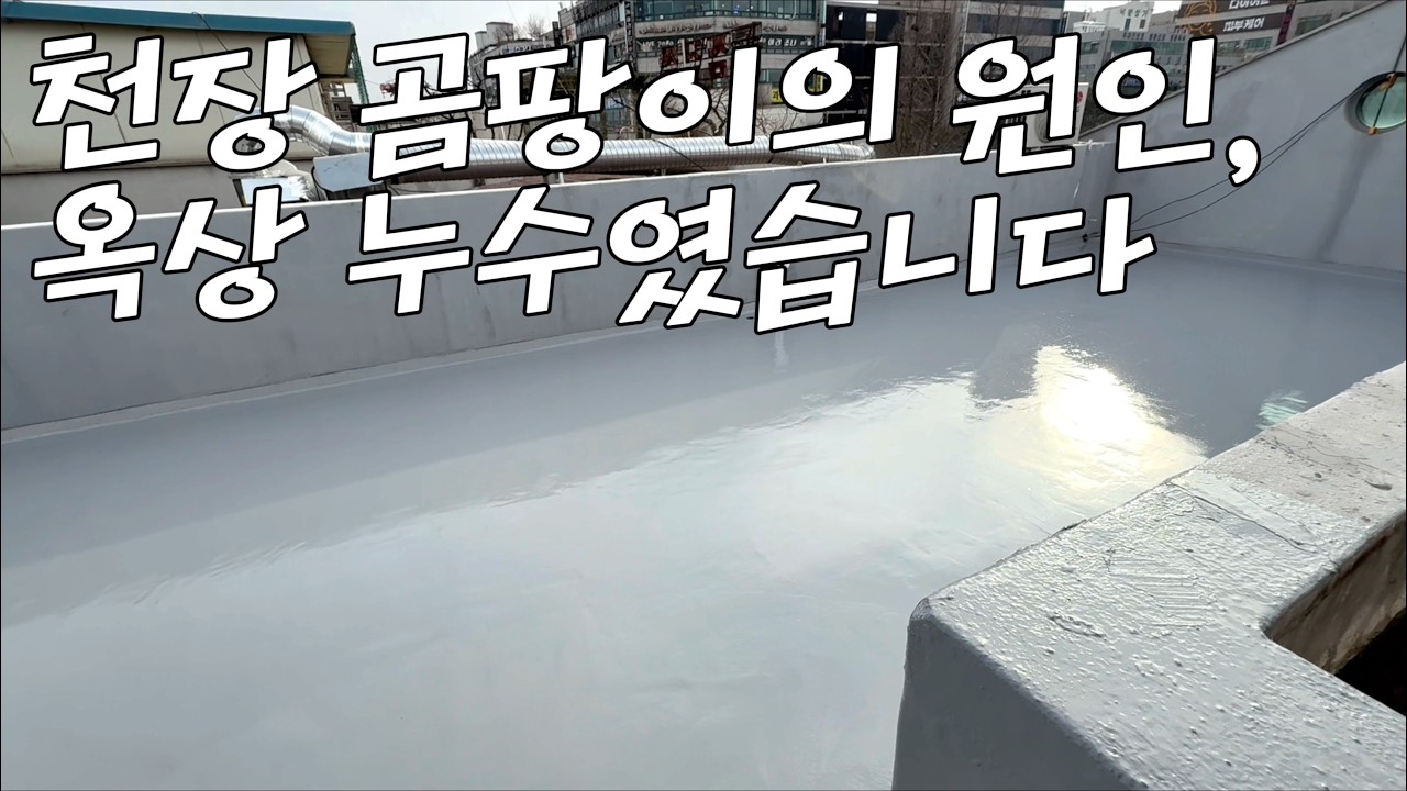 천장 곰팡이의 원인, 옥상 누수였습니다.