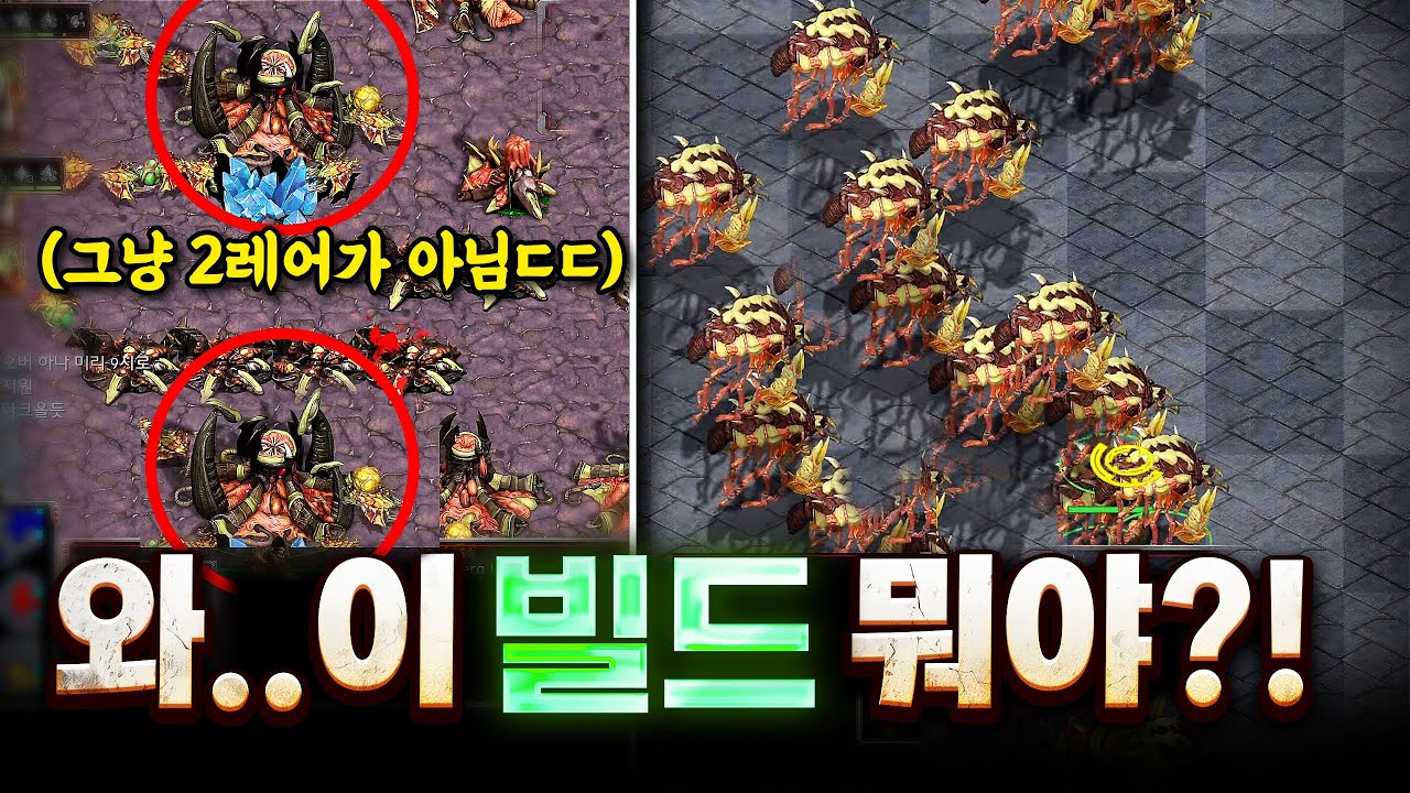 빨무 저그 빌드의 정석은 이제 이겁니다. 믿고 따라해보세요. (저도 배움)