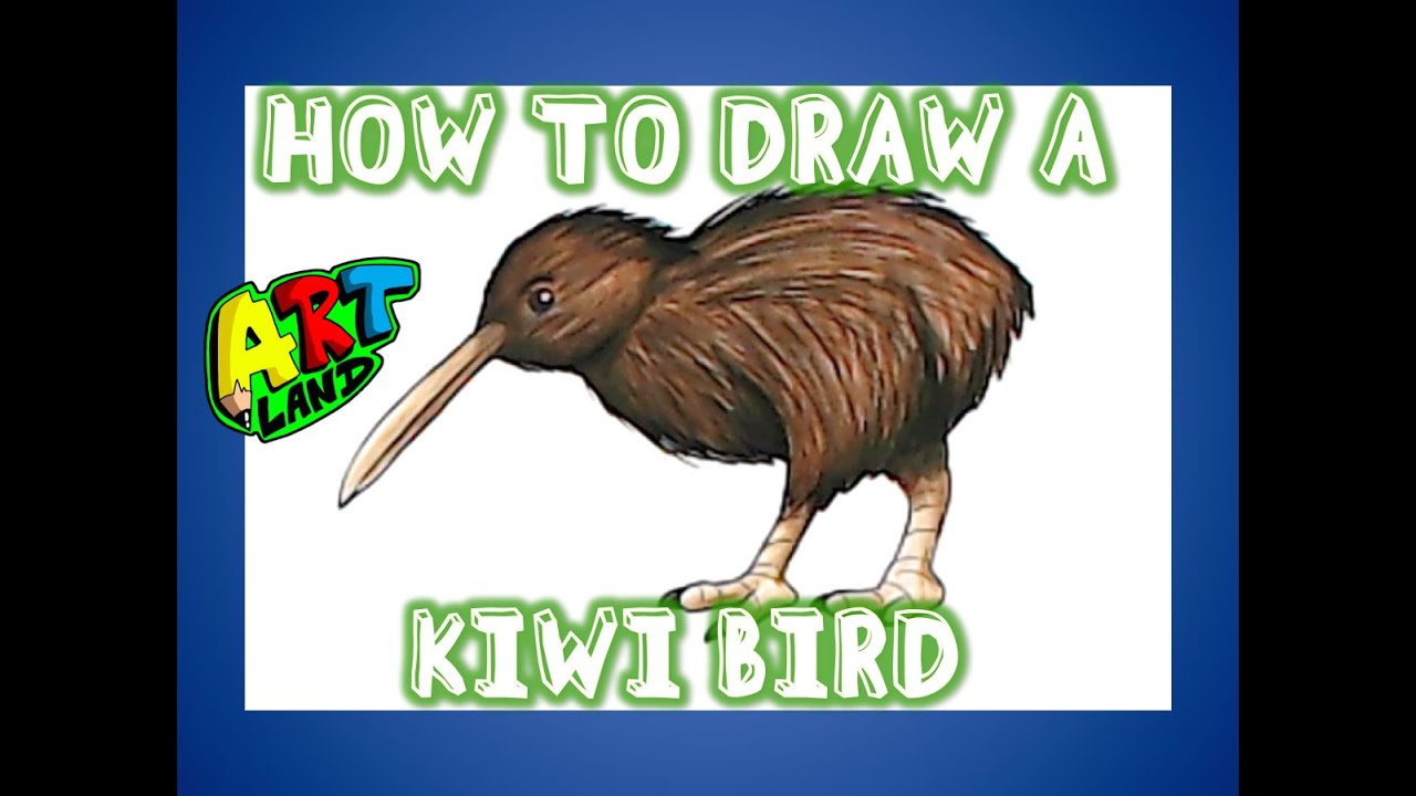 How to Draw a KIWI BIRD!!!