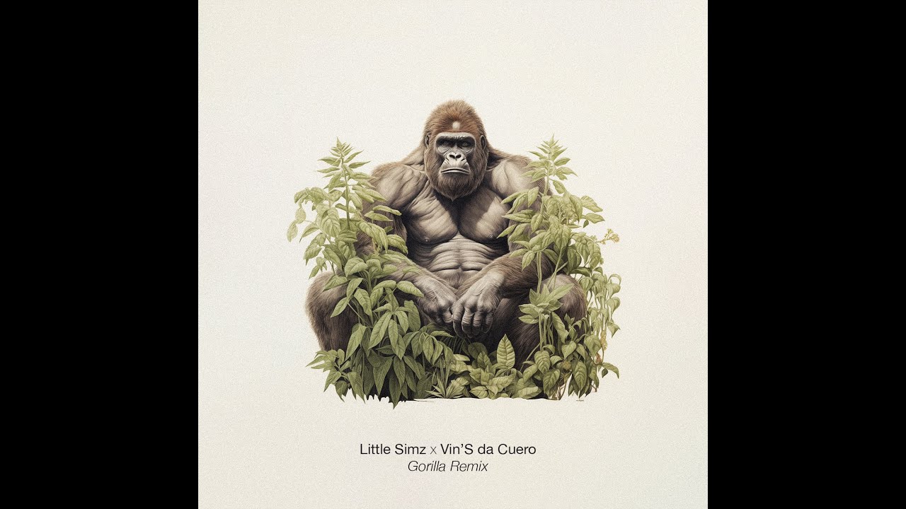 Little Simz - Gorilla (Vin'S da Cuero Remix)