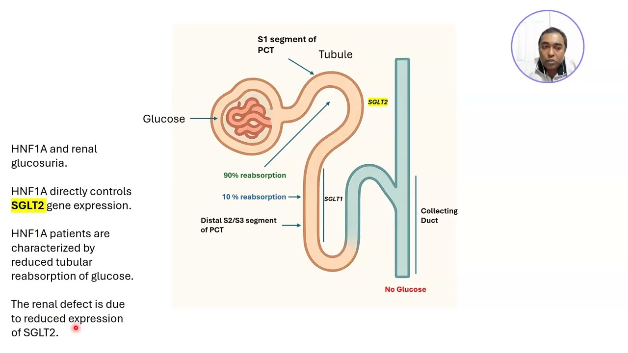 Monogenic Diabetes