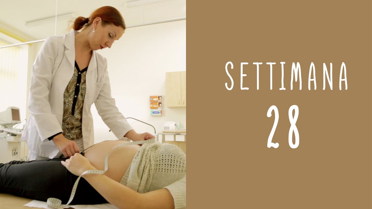 Calendario della gravidanza - settimana 28