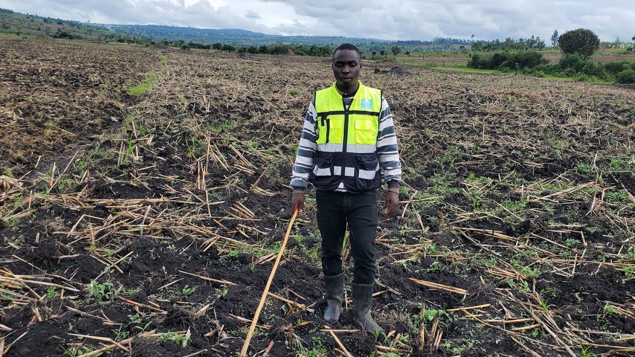 #GATSIBO-KABARORE #UBUTAKA BWIZA CYANE BW,UMUKARA #HECTARES 9 #MILLIONS 85  IMALI NZIZA📞0786301966