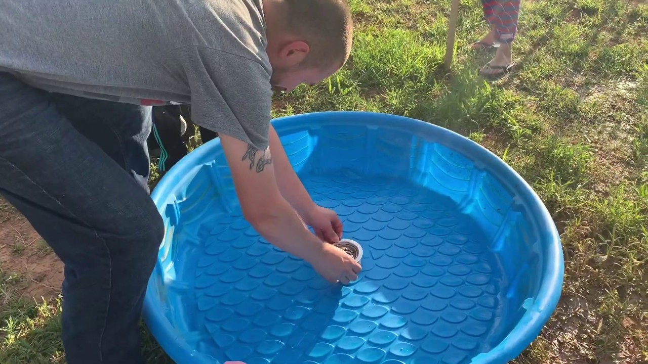 DIY Easy Drain Duck Pool