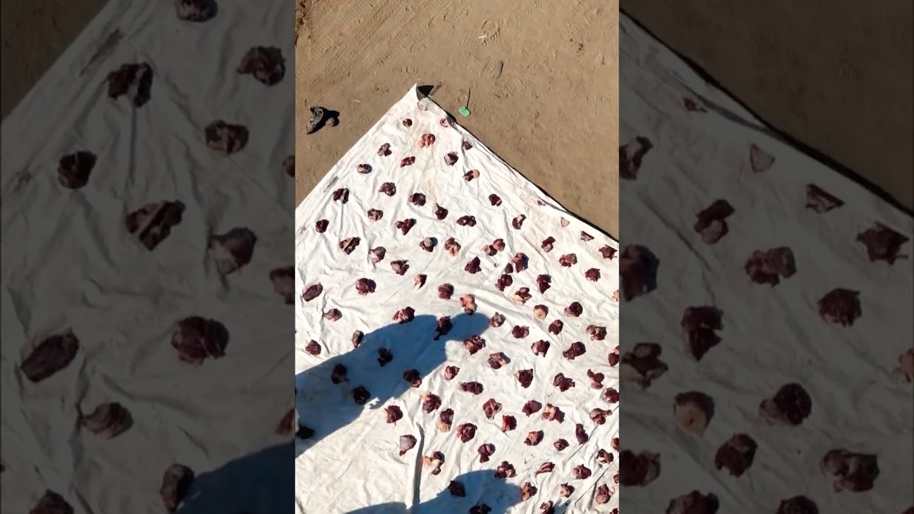 Butchers in Sudan 🔪 