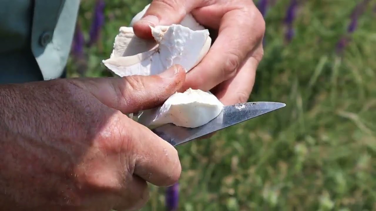 Лучшая амшенская песня