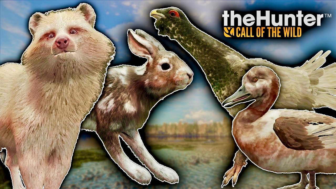 CRAZY TROPHIES! PALE CAPERCAILLIE, MOLTING MOUNTAIN HARE, MAX SCORE DIAMOND WHITETAIL AND MORE!