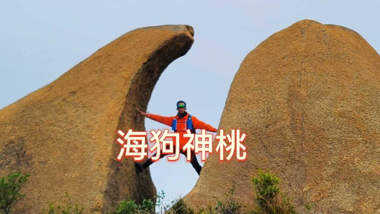 青山腹地猪仔石2023年1月15日