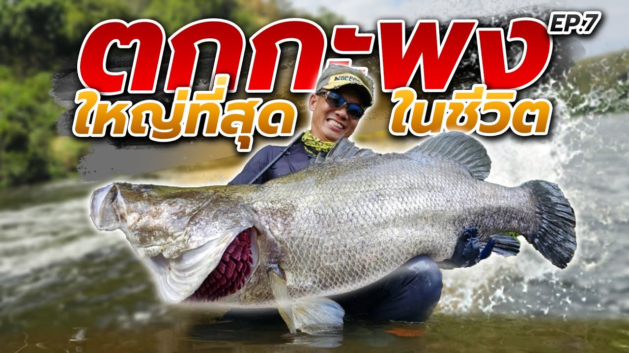 ตกปลากะพงแม่น้ำไนล์ ใหญ่ที่สุดในชีวิต! EP 7 Biggest Nile perch I've ever caught!