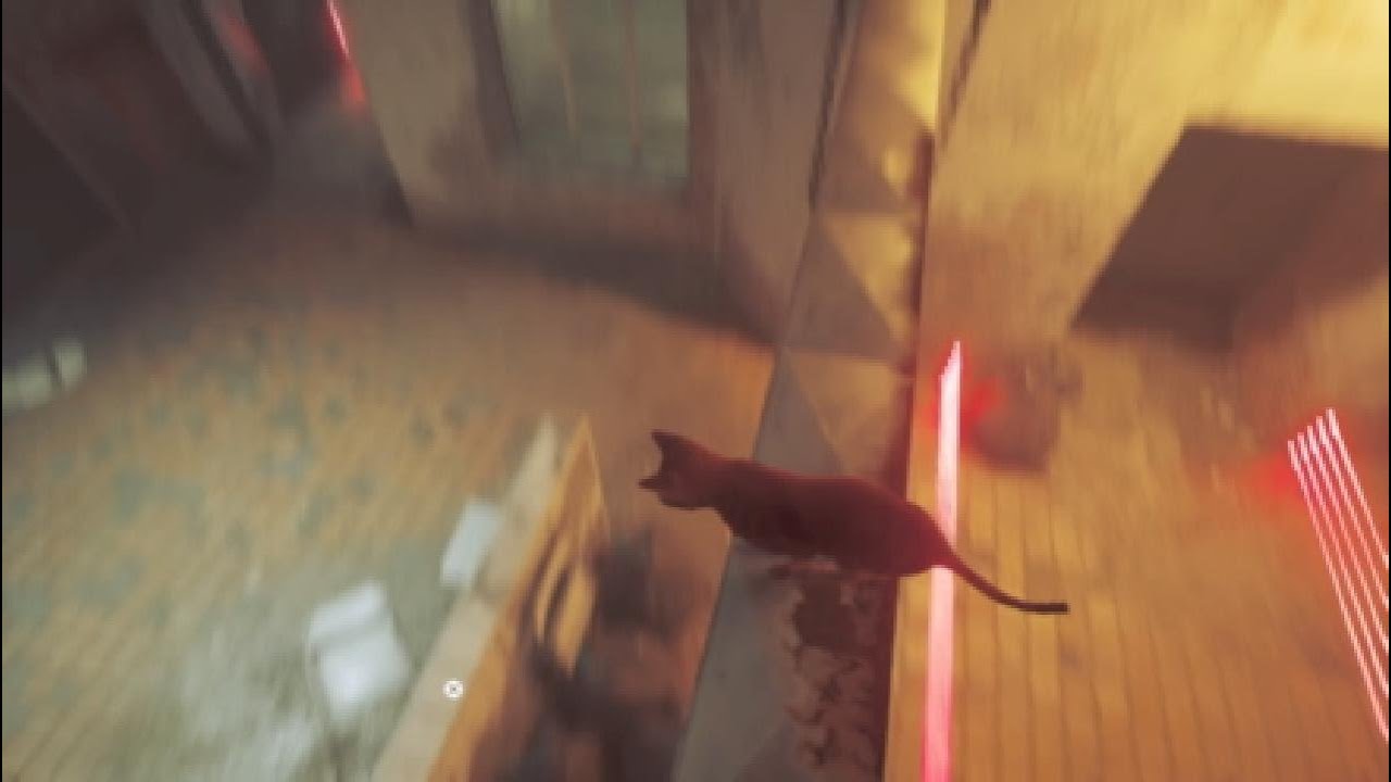 I am sad that this is the end of stray.