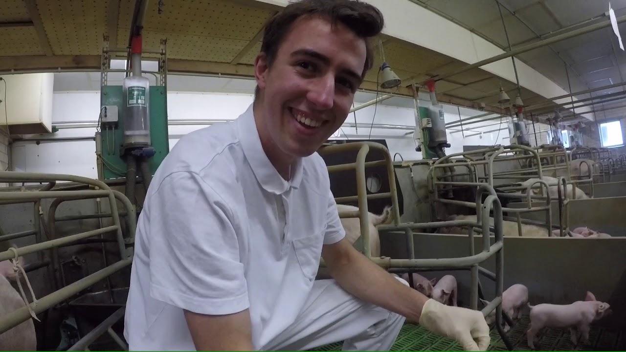 #SchweineVLOG 🐷 9 &bdquo;such den Azubi&ldquo;