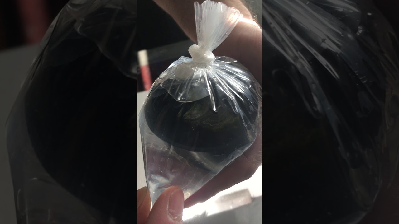 Unboxing my cali kid coral pack