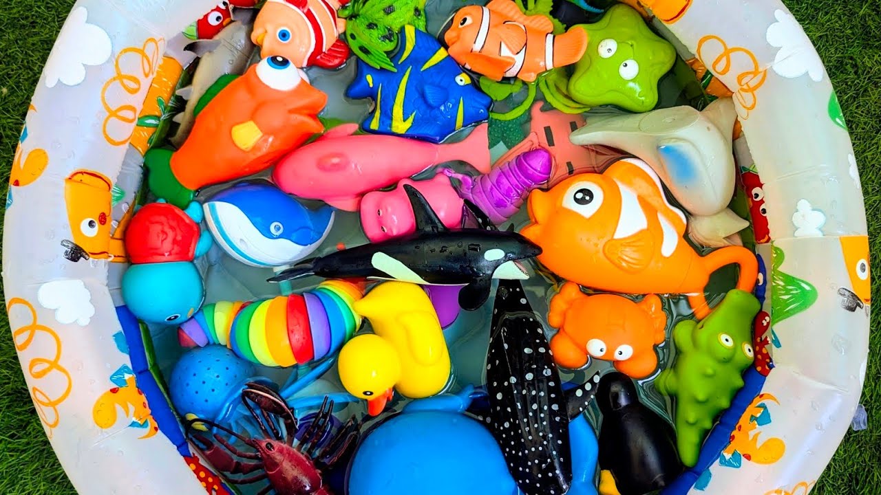 Learn Sea Animals for Kids - Fun Facts & Amazing Sea Creature Toys! Educational Video For Toddlers
