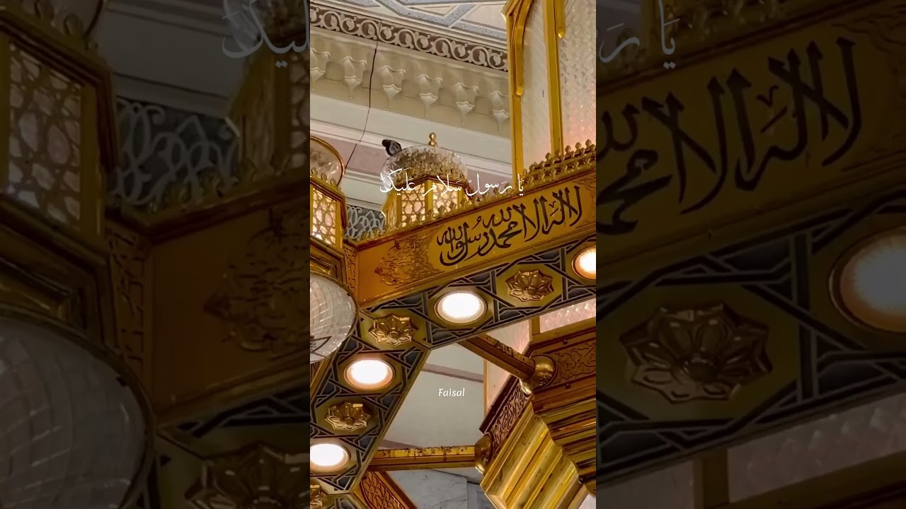 Ya Habibi❤️                                               #quranvibes #trending