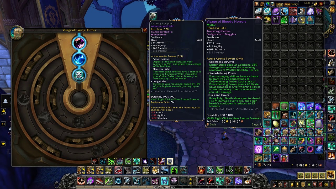 Rank 1 Beast Mastery Hunter PvP Guide BFA 8.0
