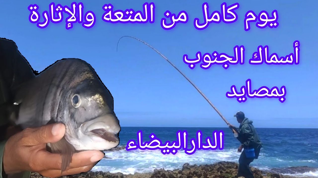 Pêche Au Maroc2024:يوم كامل من المتعة والإثارة وفراجة مع الشرغو بأحجام أسماك الجنوب بالدارالبيضاء