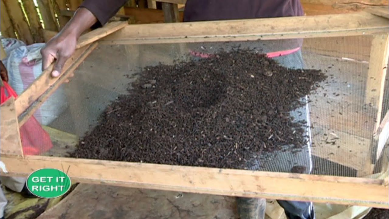 Rearing earthworms for profit - Vermiculture |Part 2|