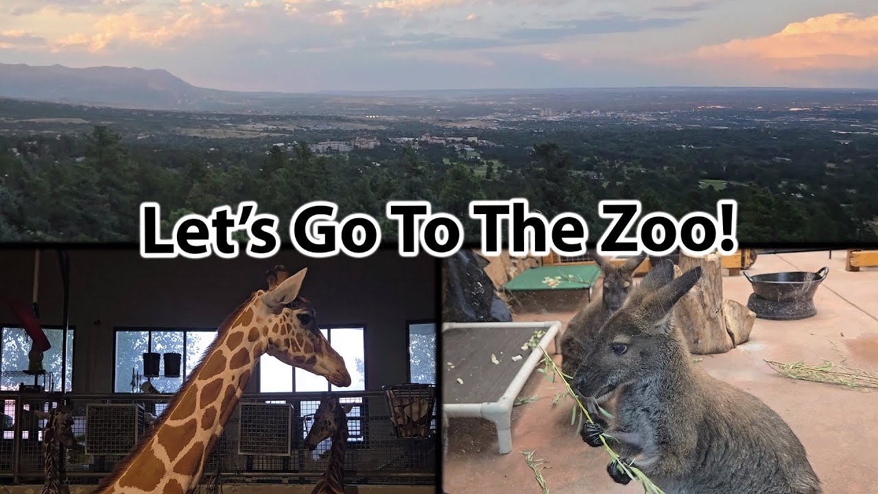 Cheyenne Mountain Zoo in 4K | Up-Close Wildlife & Scenic Views of Colorado Springs