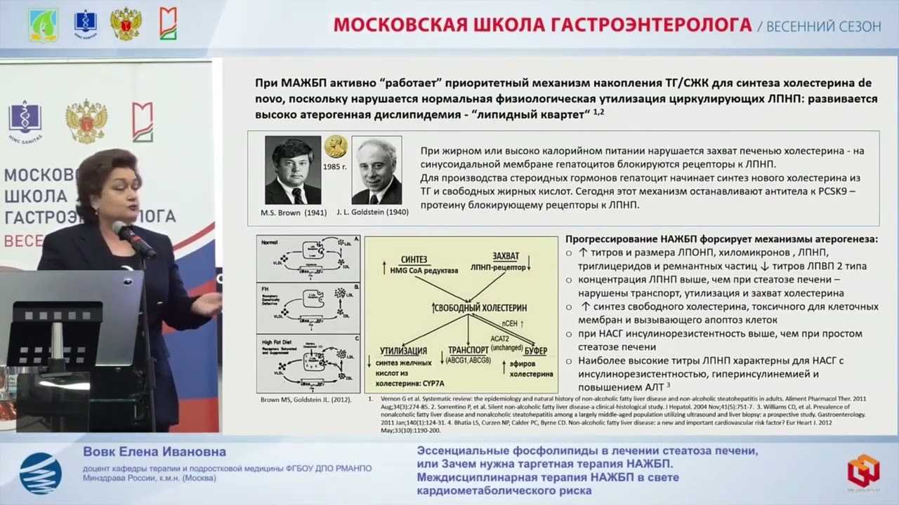 Вовк Елена Ивановна Эссенциальные фосфолипиды в лечении стеатоза печени, или Зачем нужна таргетная т