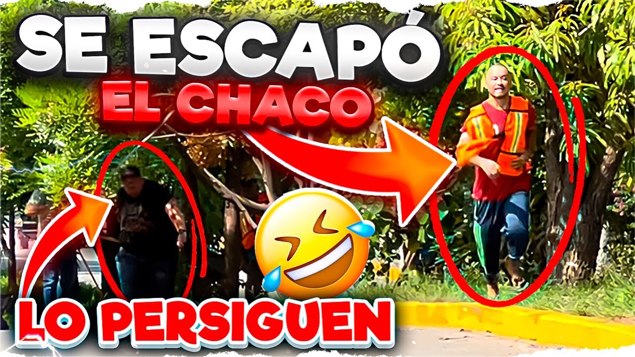 EL CHACO SE LE ESCAPA A COYOTE/ coyote corrió pero no lo alcanzo (PATRON NETO)