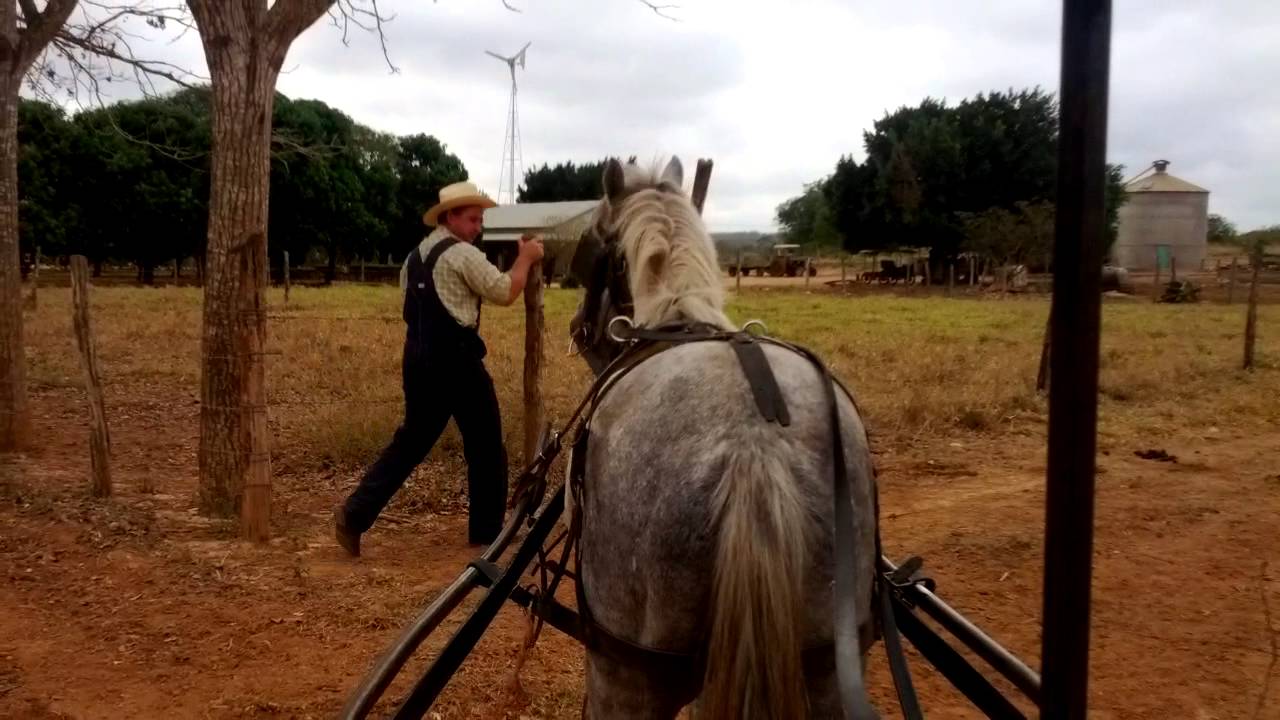 Menonitas en Campeche y una parada de patas!
