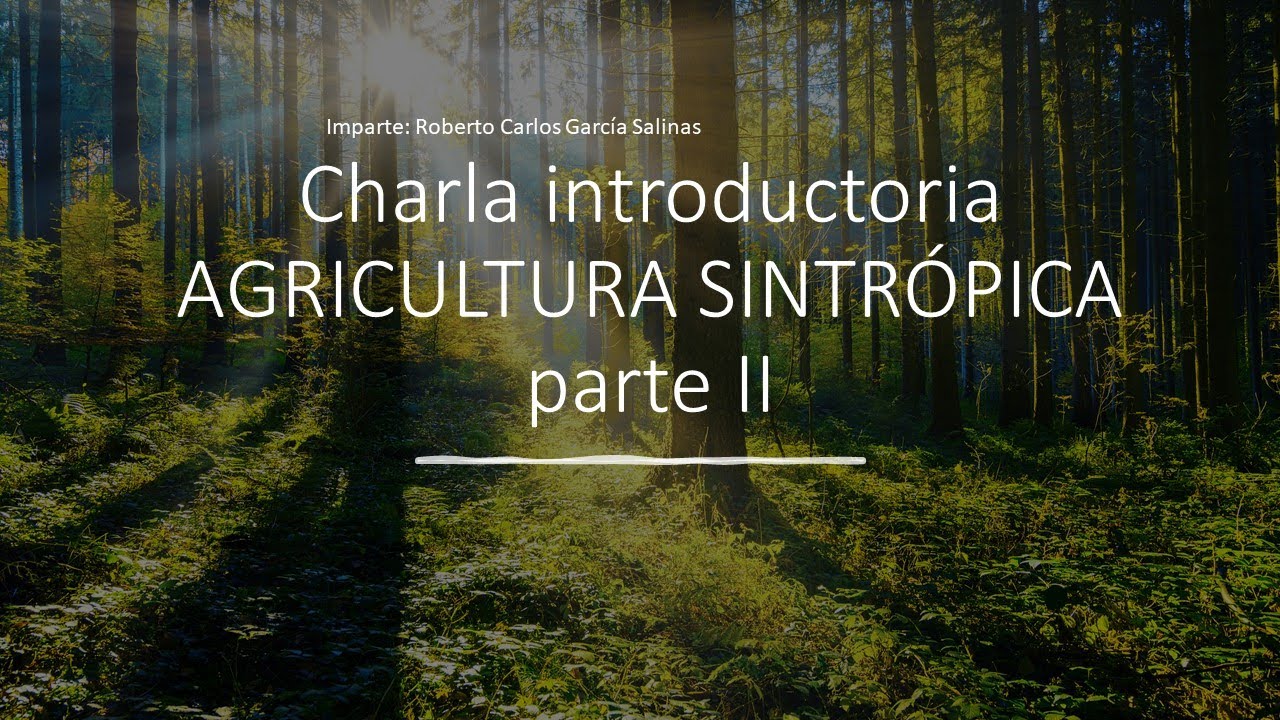 charla sintropia parteII