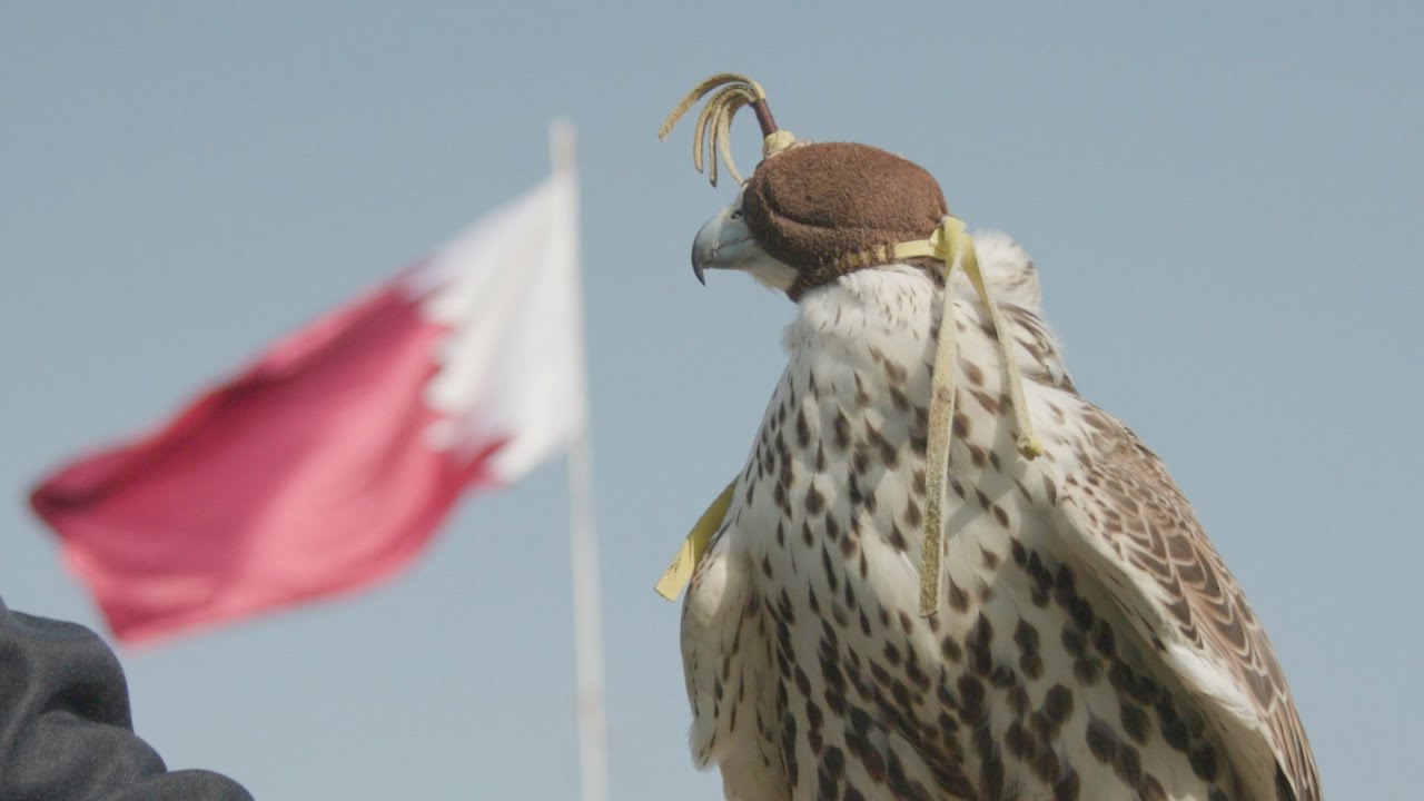 BBC Travel Show - Qatar: The Road to the World Cup