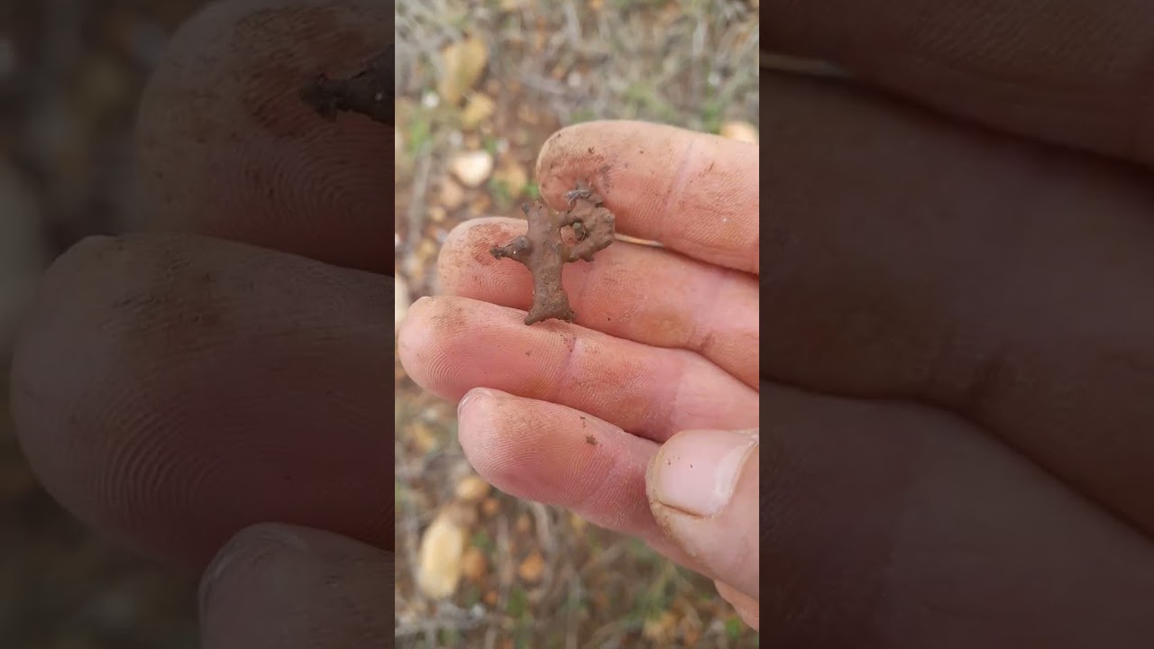 arazide dedektörle tektekçilik yaptım  #tektekçilik #metaldetecting